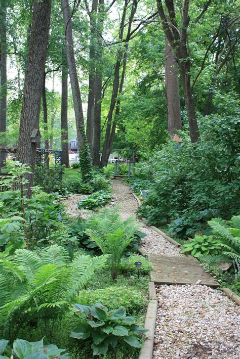 Shade Loving Plants for the Woodland Garden