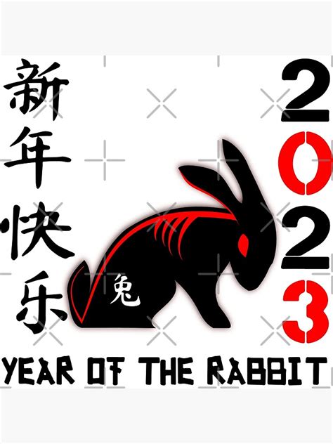 "Chinese Rabbit Chinese Zodiac 2023 New Years 2023 Water Rabbit Happy ...