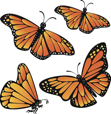 Free 51 Vector Monarch Butterfly Svg SVG PNG EPS DXF File