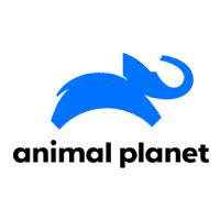 Watch Animal Planet For Free On FreeTube TV