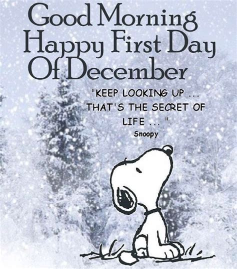 Happy 1st Day of December! Thanks for the words of encouragement Snoopy!!!! Make it a great one ...