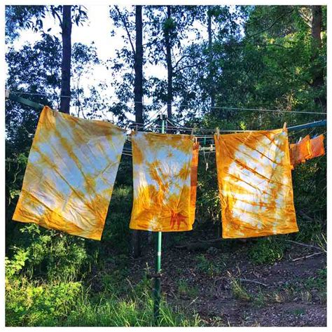 The guide for natural fabric dyes: the alchemy for textile artists ...