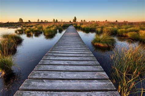 Nature zen walk at sunset | Wooden grating on water in wild … | Flickr