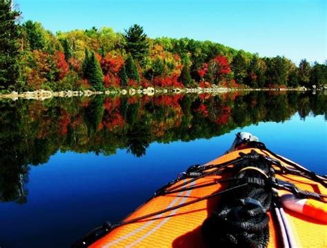 (WalksLike Wolf- Elliot Lake, Ontario) | Ontario, Rocky mountains, Fall ...