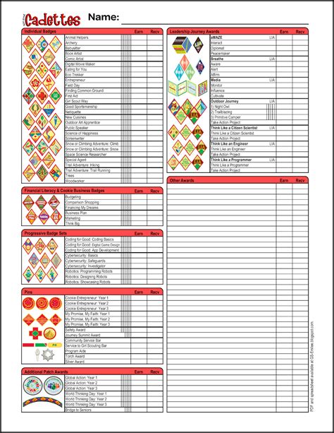 Girl Scout Cadette Badge Sheet