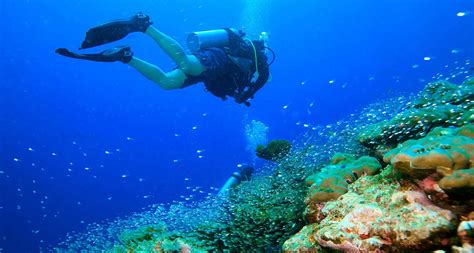 10 top Scuba Diving Spots in South East Asia | PickYourTrail