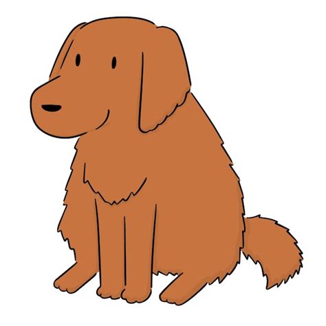 Premium Vector | Vector of dog, golden retriever