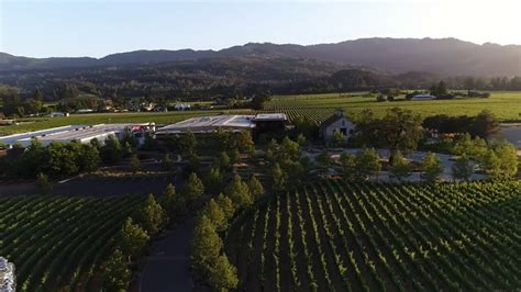 HALL St. Helena Tours and Tastings | Napa Valley | HALL Wines | Napa valley wineries, Napa ...