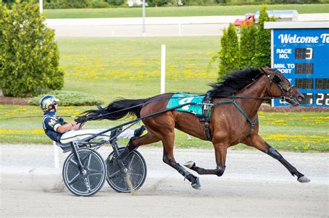 Adare Castle cruises to record breaking victory in Elora - Ontario ...