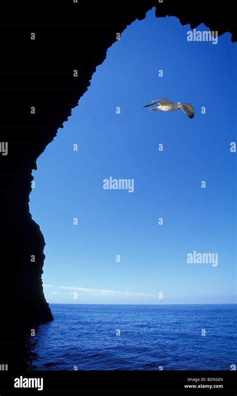 bue marino cave, aeolian filicudi, Italy Stock Photo - Alamy