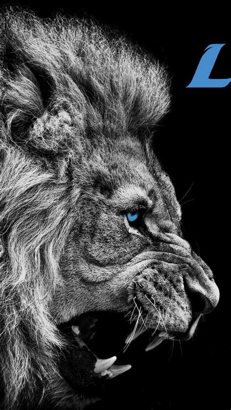 Black Detroit Lions iPhone Wallpapers - Top Free Black Detroit Lions iPhone Backgrounds ...