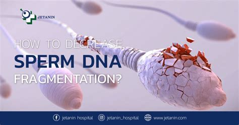 HOW TO DECREASE SPERM DNA FRAGMENTATION? | Jetanin