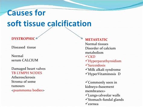 What Causes Calcification | CXR: Multiple calcifications | Calcium metabolism, Health info ...