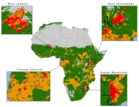 Humans are biggest factor defining elephant ranges across Africa, study ...