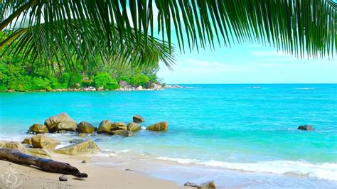 🌴 Tropical Beach Ambience on a Island in Thailand with Ocean Sounds For Relaxation & Holiday ...