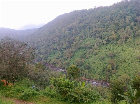 Way to Pamba-Sabarimala - TravelersOutlook: Travelers Photo Gallery