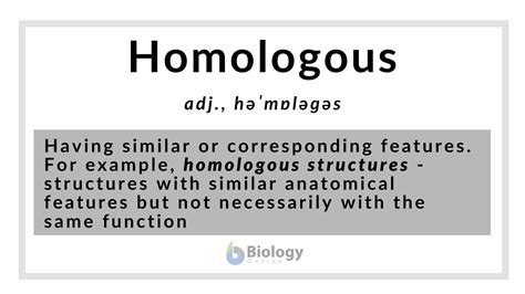 Homologous - Definition and Examples - Biology Online Dictionary