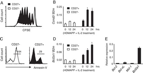 CD27 expression in Vγ9Vδ2 T cells is associated with enhanced ...