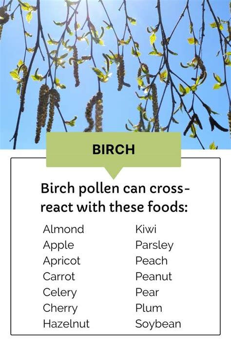 Oral Allergy Syndrome: Practical Tips for when Pollen and Food Connect