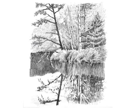 6 Ways to Spruce Up Your Landscape Pencil Drawings! | Artists Network