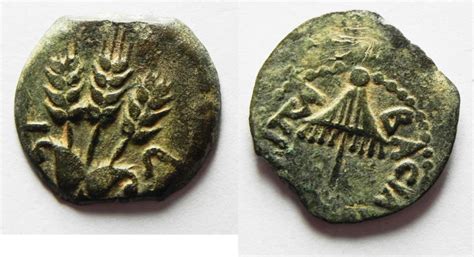 Judaea. Herodian Dynasty. Agrippa I AE prutah | Greek Coins