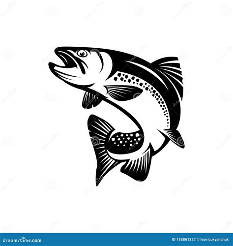 Trout Outline Clip Art