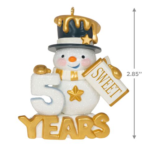 2023 Sweet Decade Special Edition Hallmark Ornament - Hooked on Hallmark Ornaments