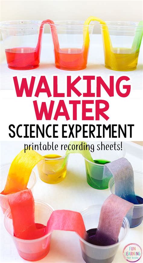 Discover 20 Exciting Science Crafts for Kids