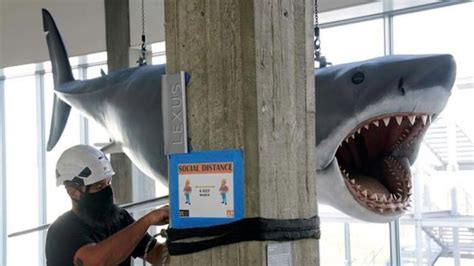 Bruce, the last ‘Jaws’ shark, docks at the Academy Museum | EverythingGP