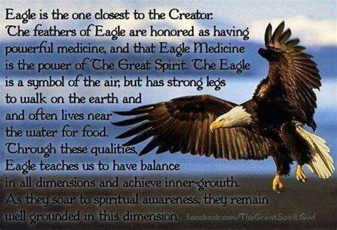 Falcon Images: Golden Eagle Native American Symbolism