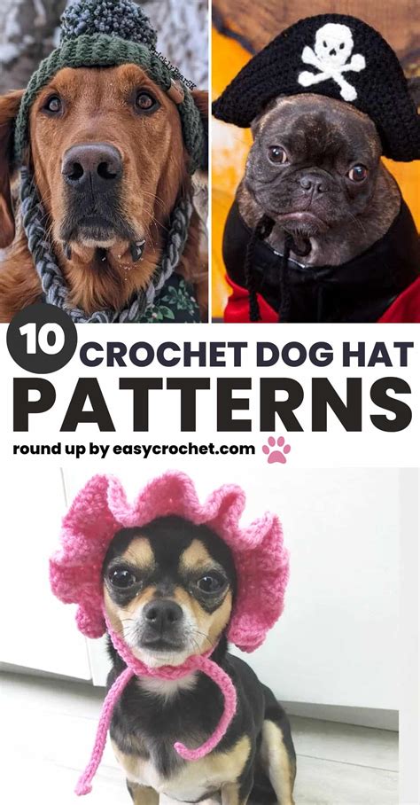 10 Cute Crochet Dog Hat Patterns to Make For Your Pup - Easy Crochet ...