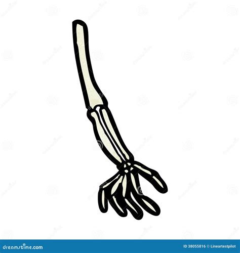 Cartoon skeleton arm stock vector. Illustration of cartoon - 38055816