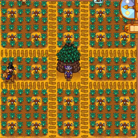 Crop Layout With Junimo Hut : r/StardewValley