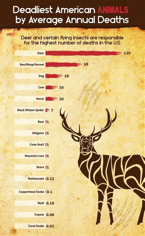 Infographic: The Deadliest Animals in Each State | OutdoorHub