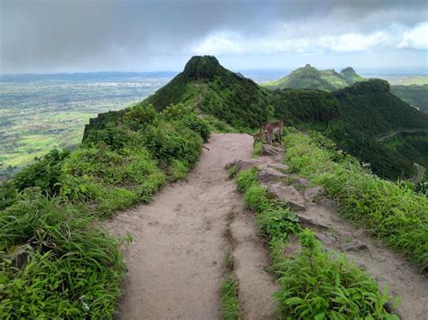 Purandar Fort Trek | Purandar Trek | Book Now @ 33% OFF