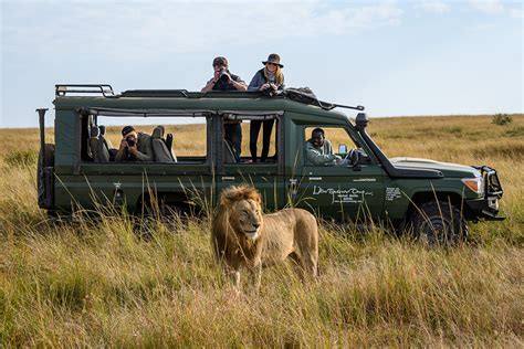 Best Kenya Safari Guide | Everything You Need to Know | Go2Africa