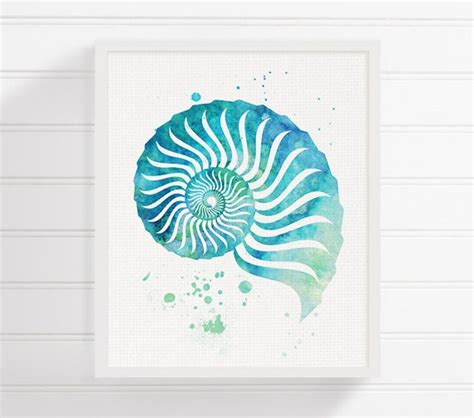 Watercolor Seashell Seashell Art Seashell Print Sea Shell