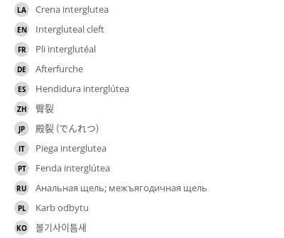 Intergluteal cleft - e-Anatomy - IMAIOS