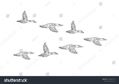 1,870 Duck Flying Sketch Images, Stock Photos & Vectors | Shutterstock