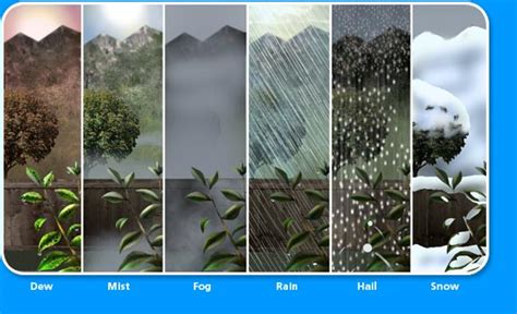 9 Different Types of Precipitation