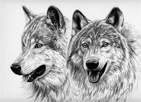 Gallery For > Wolf Pack Drawings In Pencil | Pencil drawings, Wolf painting, Drawings