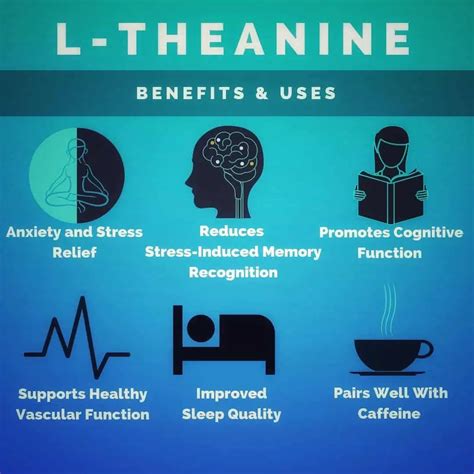 What exactly is L-Theanine? - Aiva WTR