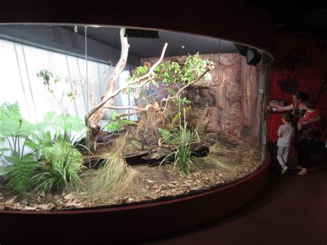 Vivarium animals able to go in normal exhibit or leave vivarium | Frontier Forums