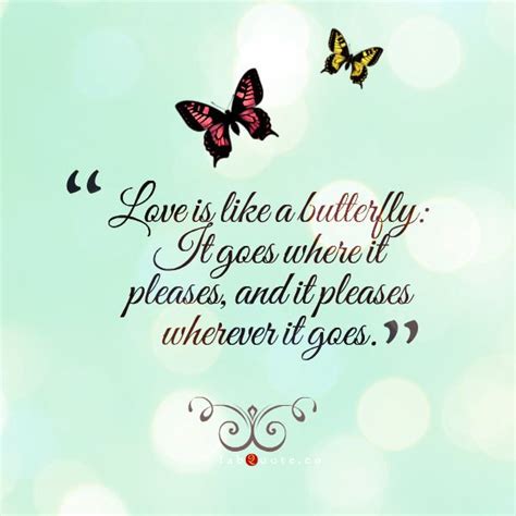 fabQuote | Butterfly love quotes, Butterfly quotes, Inspirational quotes