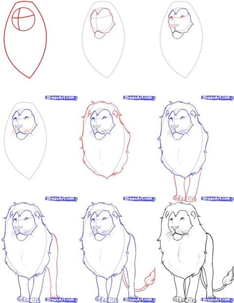 How To Draw A Cartoon Lion Step By Step at Drawing Tutorials