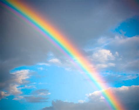 Free photo: Rainbow - Yellow, Scenery, White - Free Download - Jooinn