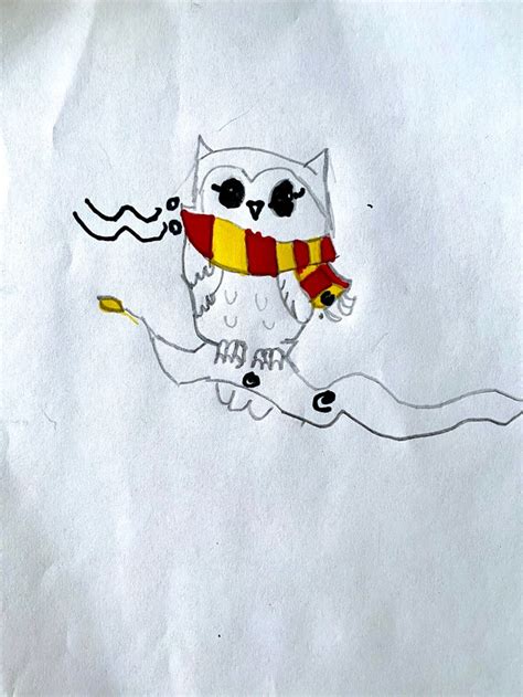 Harry Potter Owl | Harry potter owl, Drawing challenge, Art