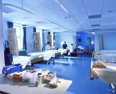 Hospital ward - Stock Image - M540/0353 - Science Photo Library