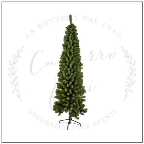 Abete di Natale h 180 cm – Capurro Fiori