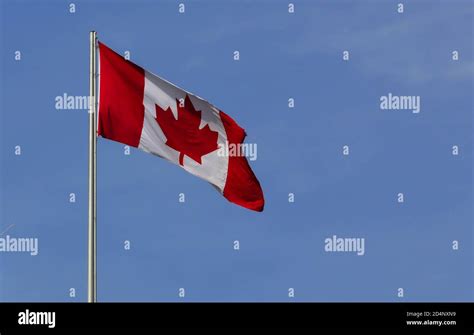 Flag leaf hi-res stock photography and images - Alamy